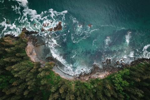 A birds-eye view of waves crashing against a tree-covered cliff side.